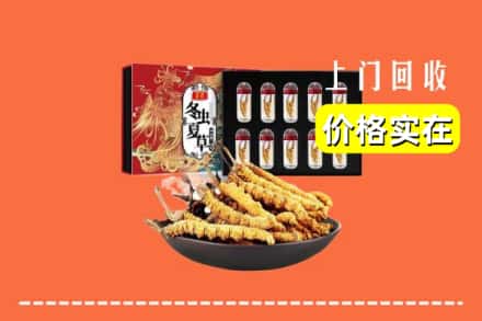 大理南涧县回收冬虫夏草