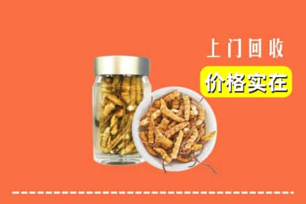 大理南涧县回收散虫草
