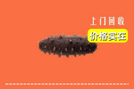 大理南涧县回收海参